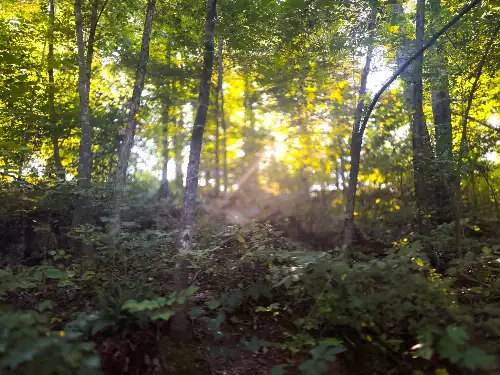 Lazy Branch Road, Wartrace, TN  37183