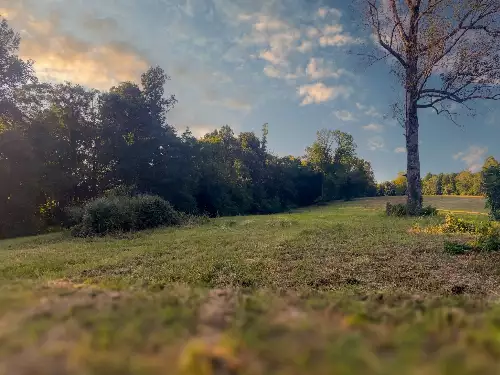 Lazy Branch Road, Wartrace, TN  37183