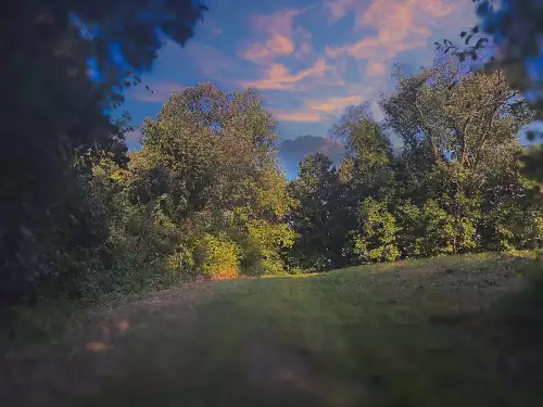 Lazy Branch Road, Wartrace, TN  37183