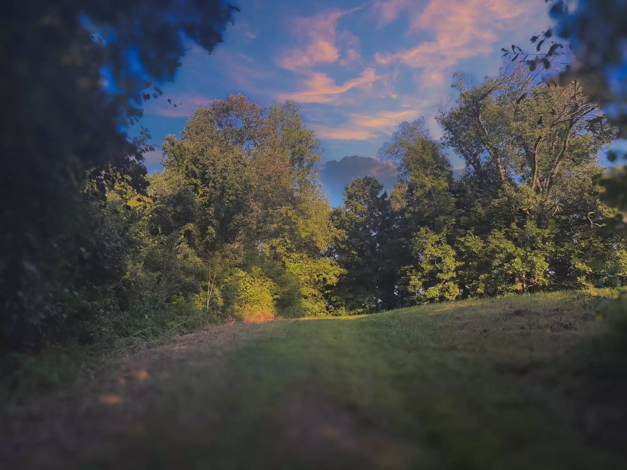 Lazy Branch Road, Wartrace, TN  37183