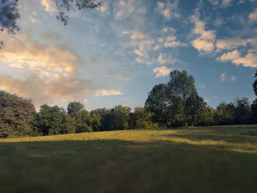 Lazy Branch Road, Wartrace, TN  37183