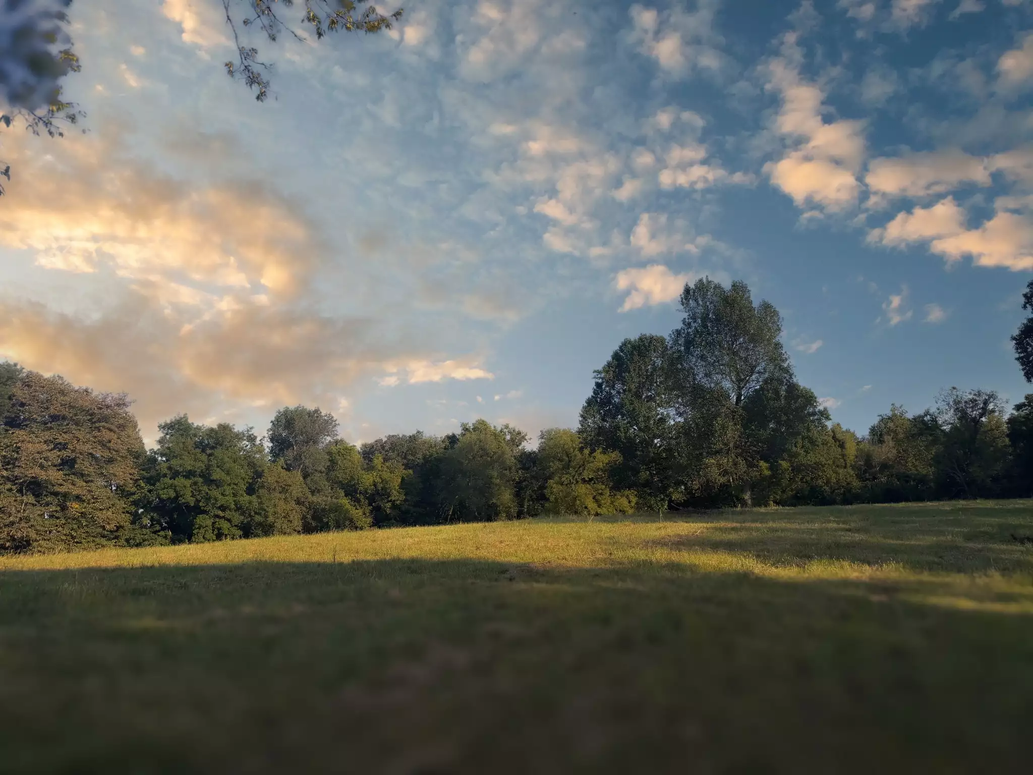 Lazy Branch Road, Wartrace, TN  37183