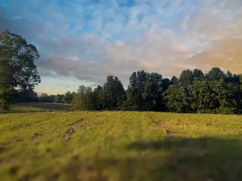 Lazy Branch Road, Wartrace, TN  37183