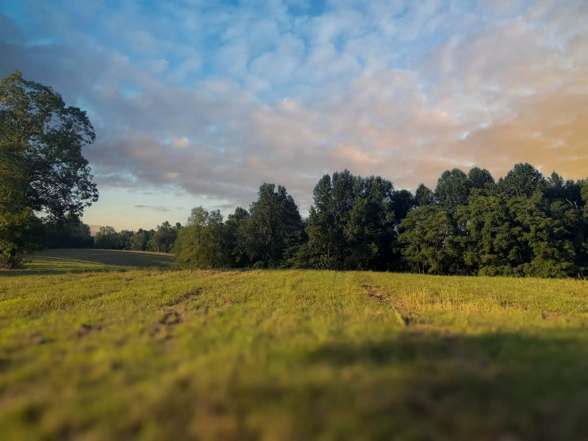 Lazy Branch Road, Wartrace, TN  37183