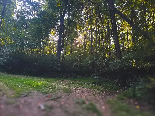 Lazy Branch Road, Wartrace, TN  37183