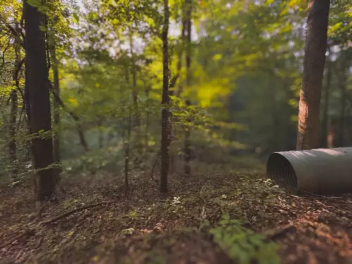 Lazy Branch Road, Wartrace, TN  37183