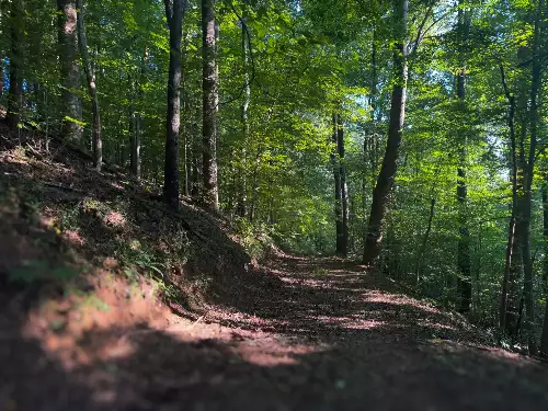 Lazy Branch Road, Wartrace, TN  37183