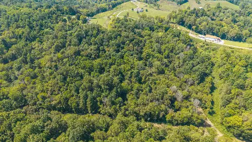 Goose Branch Rd, Lynchburg, TN  37352