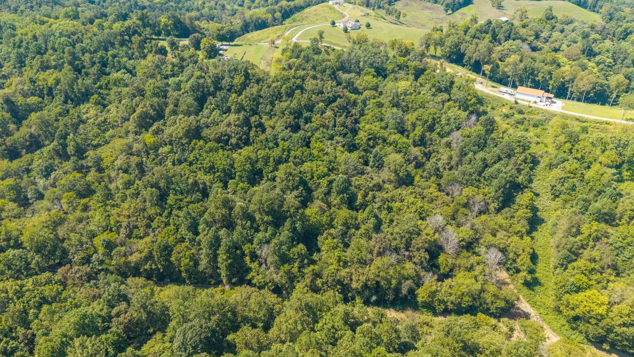 Goose Branch Rd, Lynchburg, TN  37352