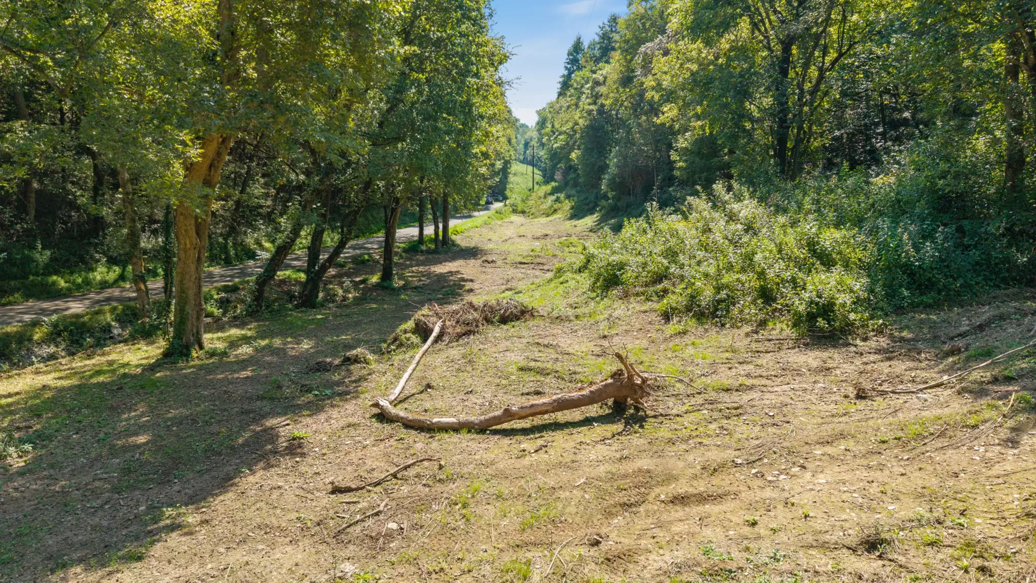 Goose Branch Rd, Lynchburg, TN  37352