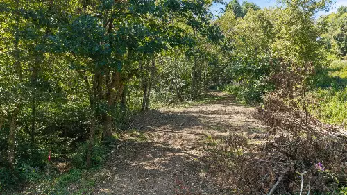 Goose Branch Rd, Lynchburg, TN  37352