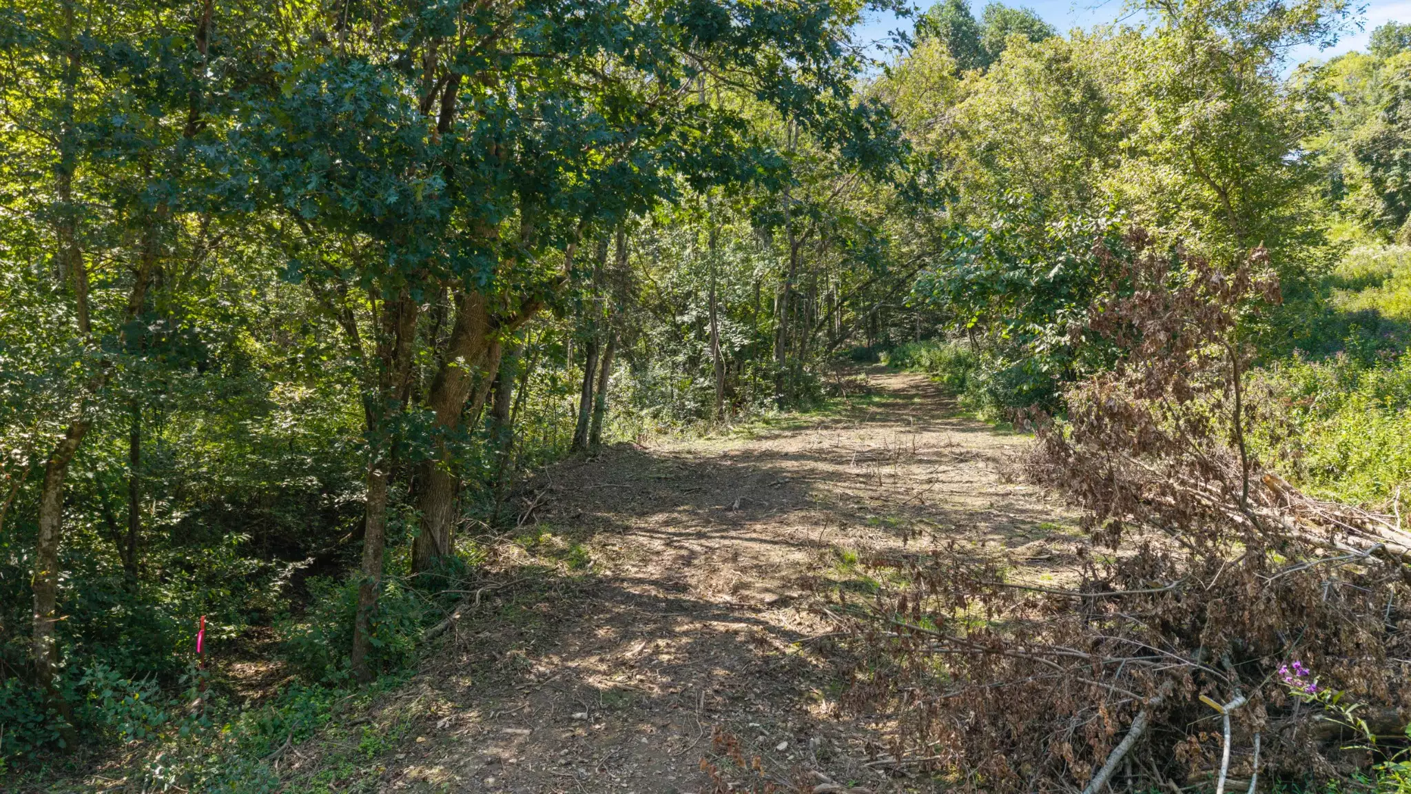 Goose Branch Rd, Lynchburg, TN  37352