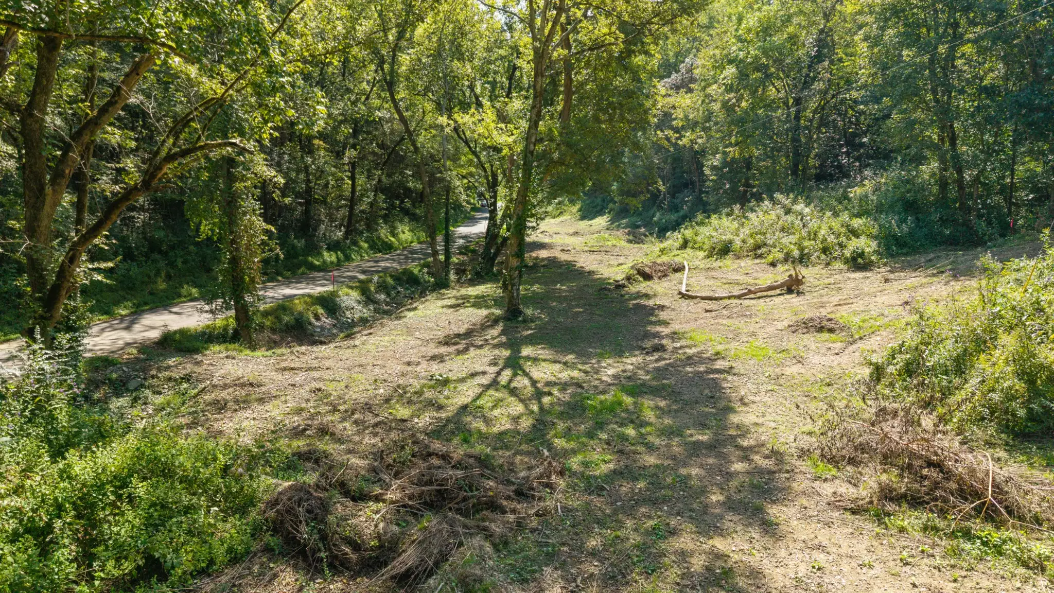 Goose Branch Rd, Lynchburg, TN  37352