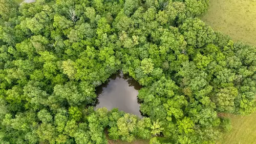 1802 Old Nashville Dirt Rd, Shelbyville, TN  37160