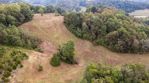 1 Noah Rd, Beechgrove, TN  37018