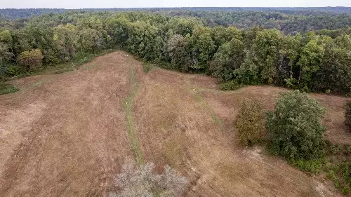 1 Noah Rd, Beechgrove, TN  37018