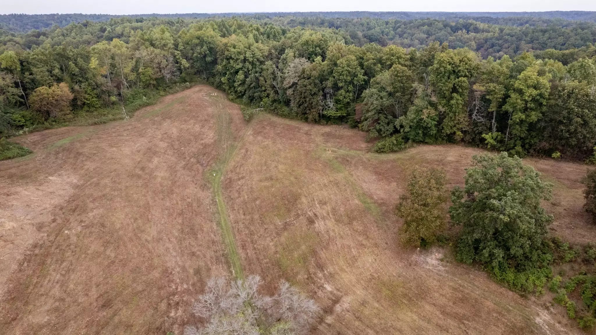 1 Noah Rd, Beechgrove, TN  37018