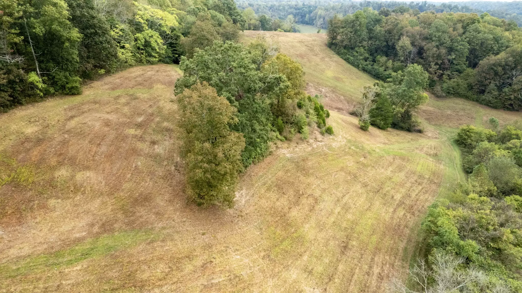 1 Noah Rd, Beechgrove, TN  37018