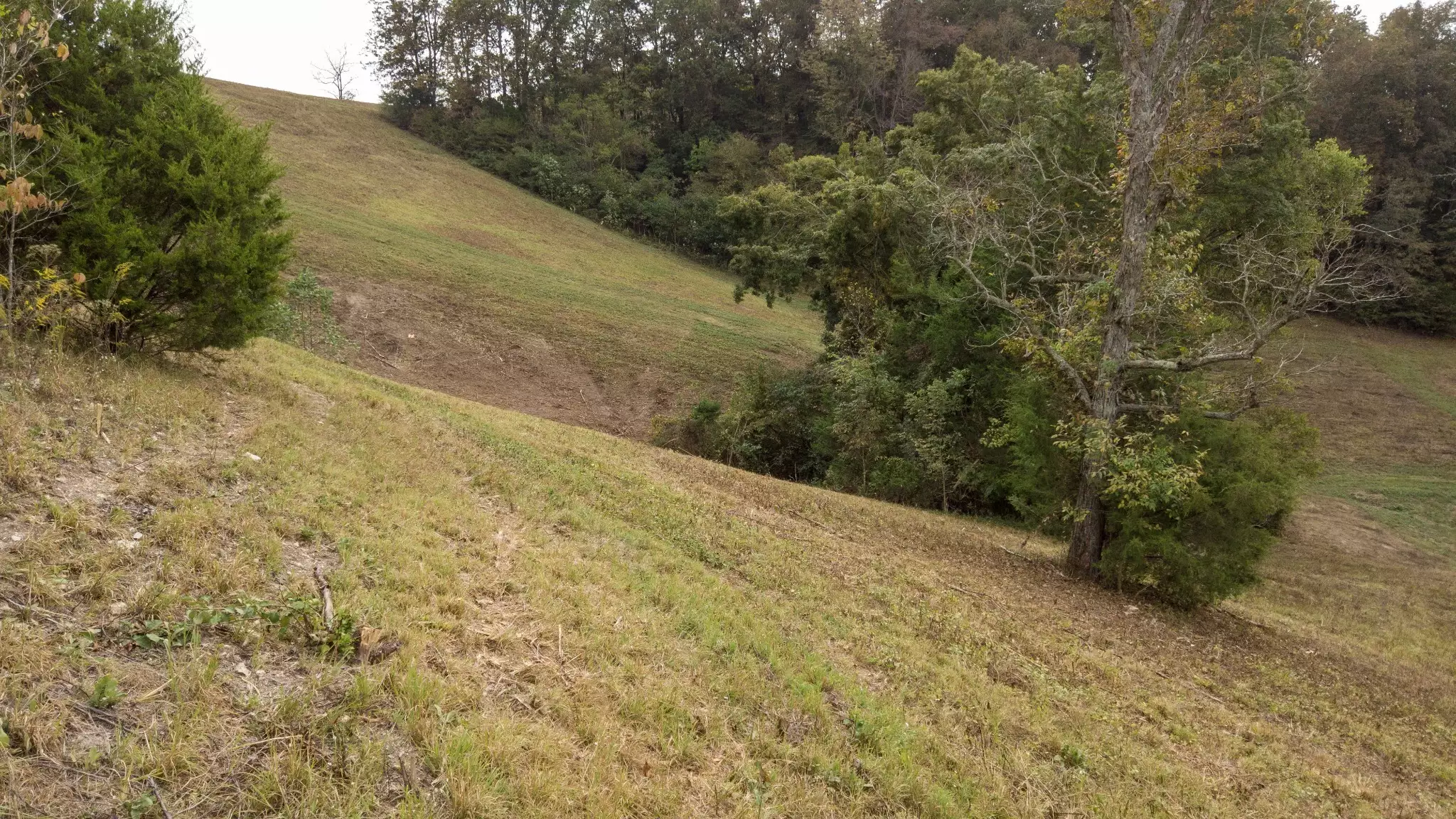 1 Noah Rd, Beechgrove, TN  37018