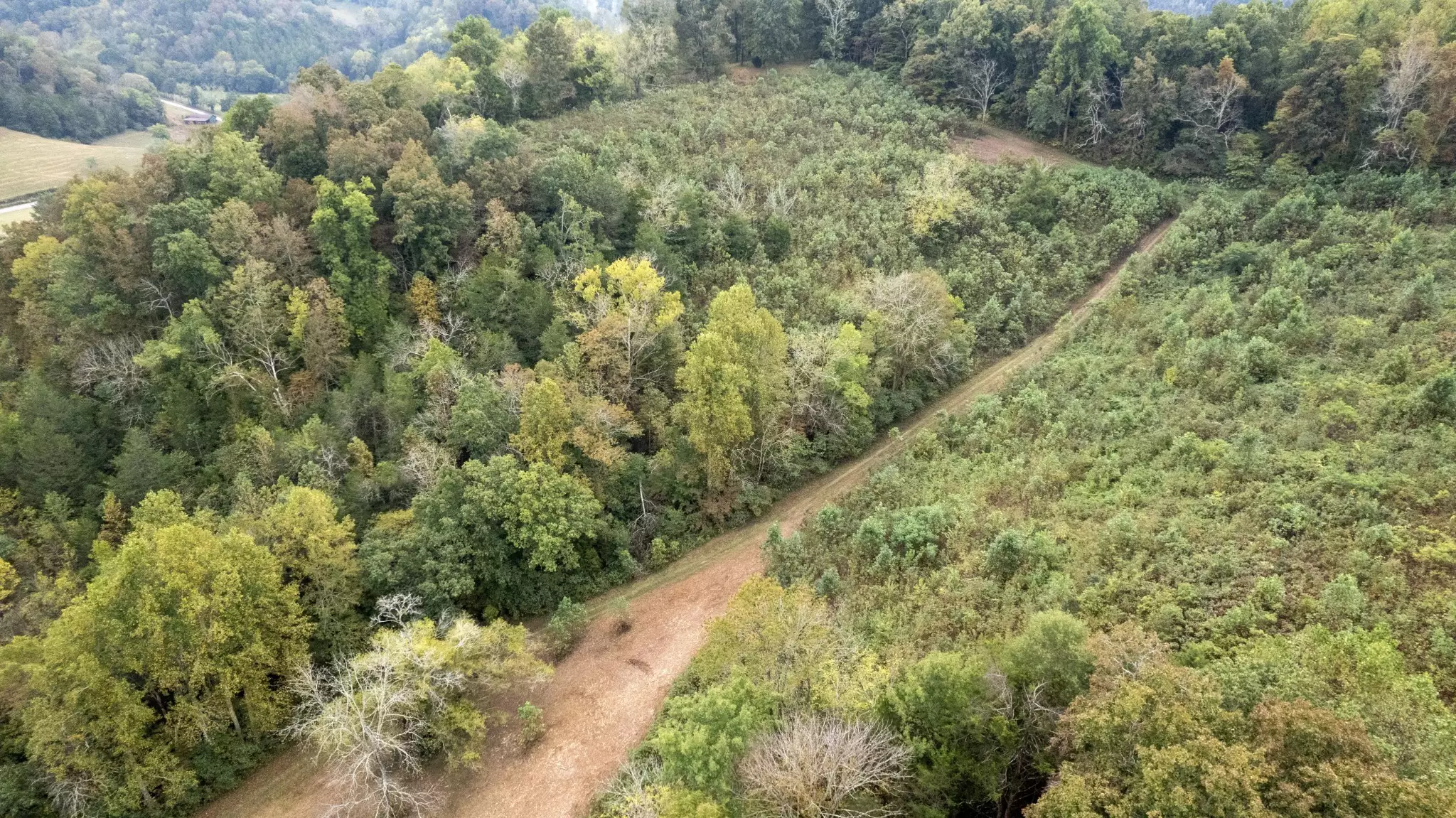 1 Noah Rd, Beechgrove, TN  37018