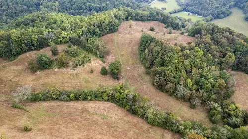 1 Noah Rd, Beechgrove, TN  37018