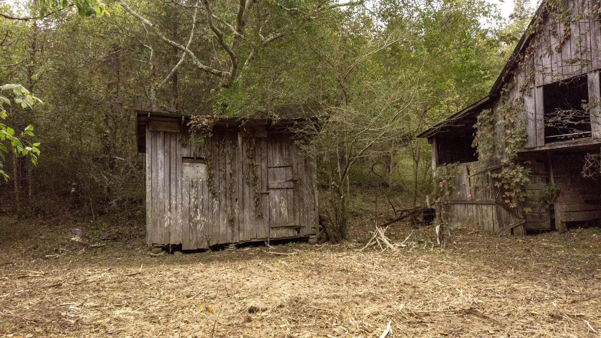 1 Noah Rd, Beechgrove, TN  37018