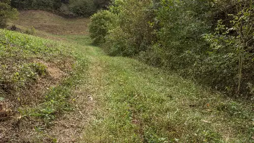 1 Noah Rd, Beechgrove, TN  37018