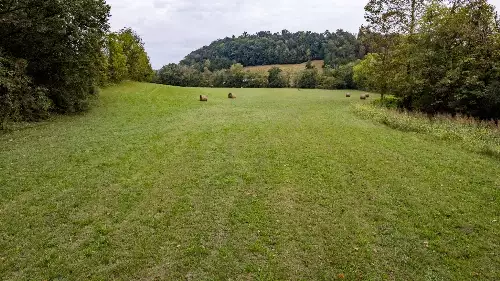 1 Noah Rd, Beechgrove, TN  37018