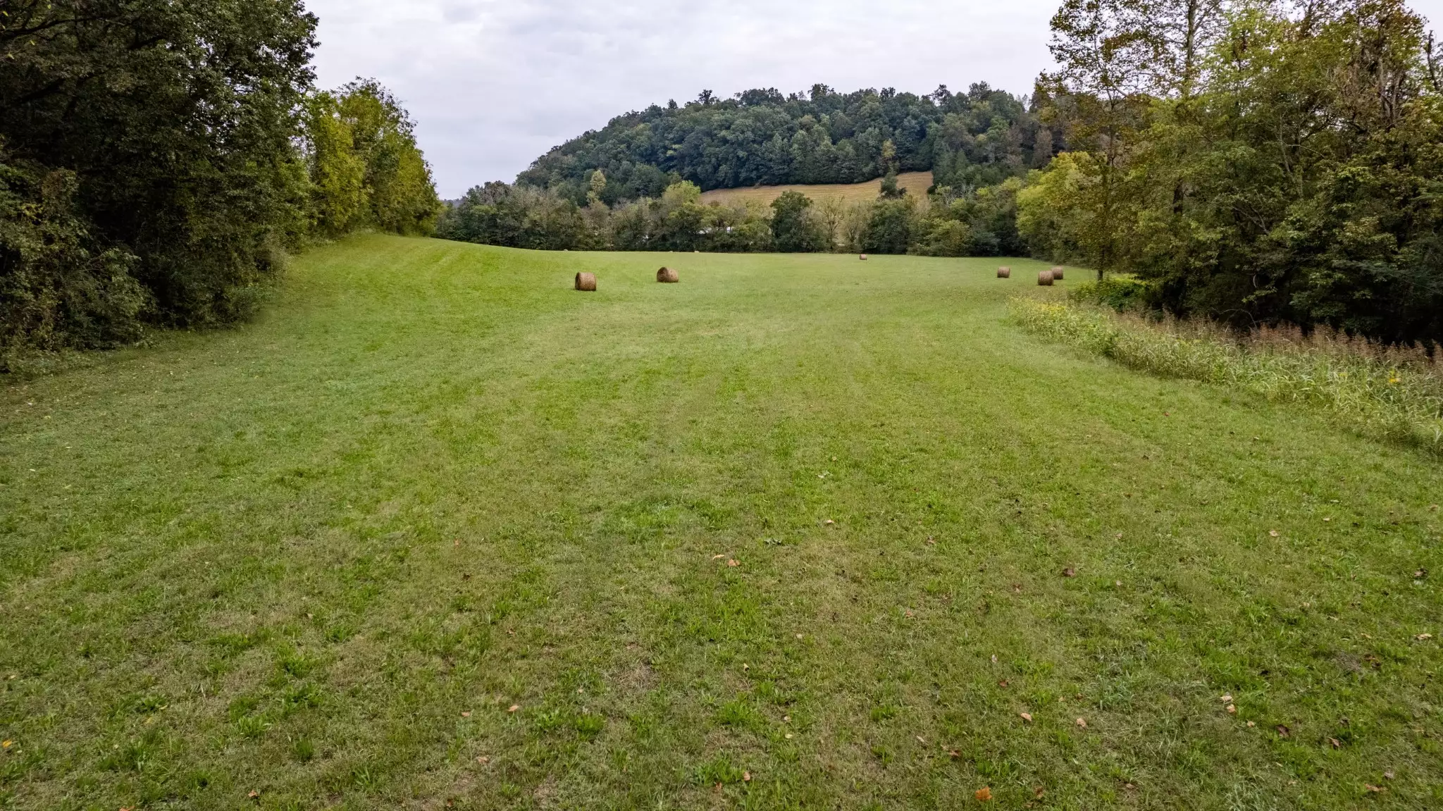 1 Noah Rd, Beechgrove, TN  37018