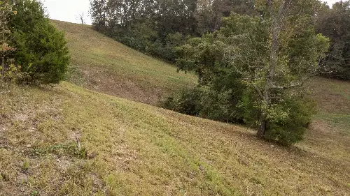 1 Noah Rd, Beechgrove, TN  37018