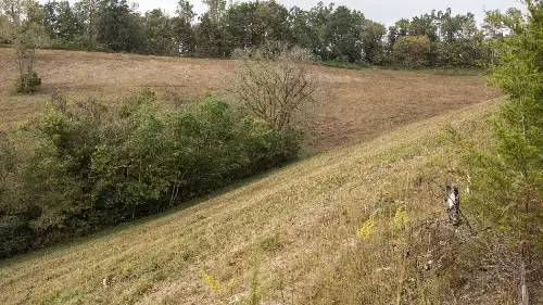 1 Noah Rd, Beechgrove, TN  37018