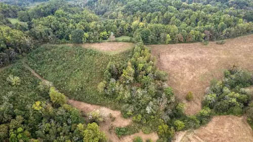 1 Noah Rd, Beechgrove, TN  37018