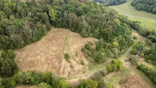 1 Noah Rd, Beechgrove, TN  37018