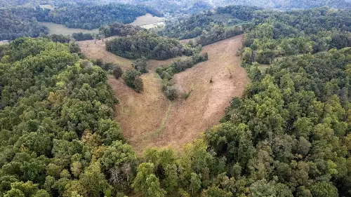 1 Noah Rd, Beechgrove, TN  37018