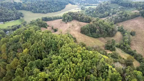 1 Noah Rd, Beechgrove, TN  37018