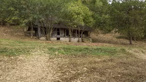 1 Noah Rd, Beechgrove, TN  37018