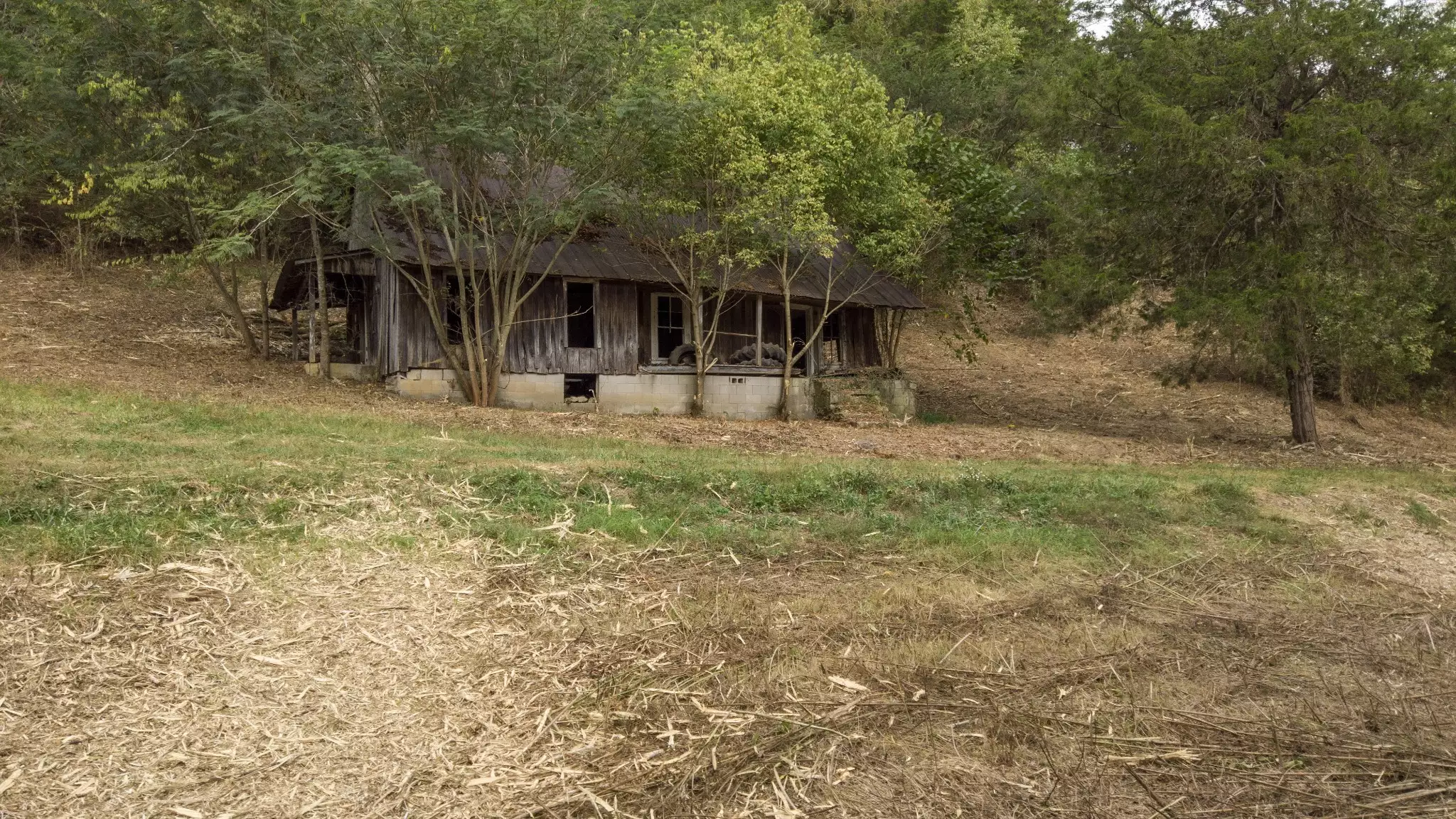 1 Noah Rd, Beechgrove, TN  37018