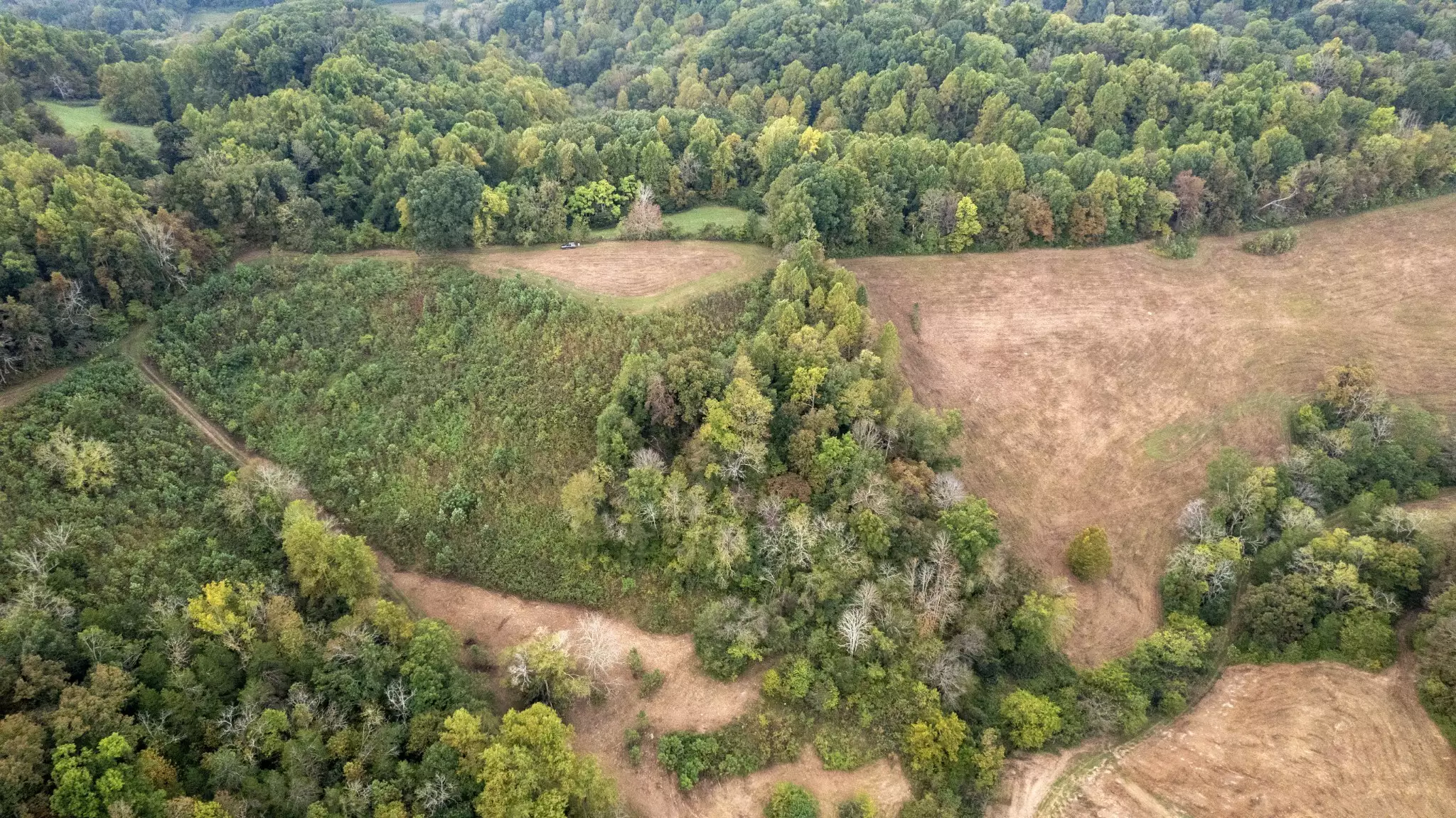 1 Noah Rd, Beechgrove, TN  37018