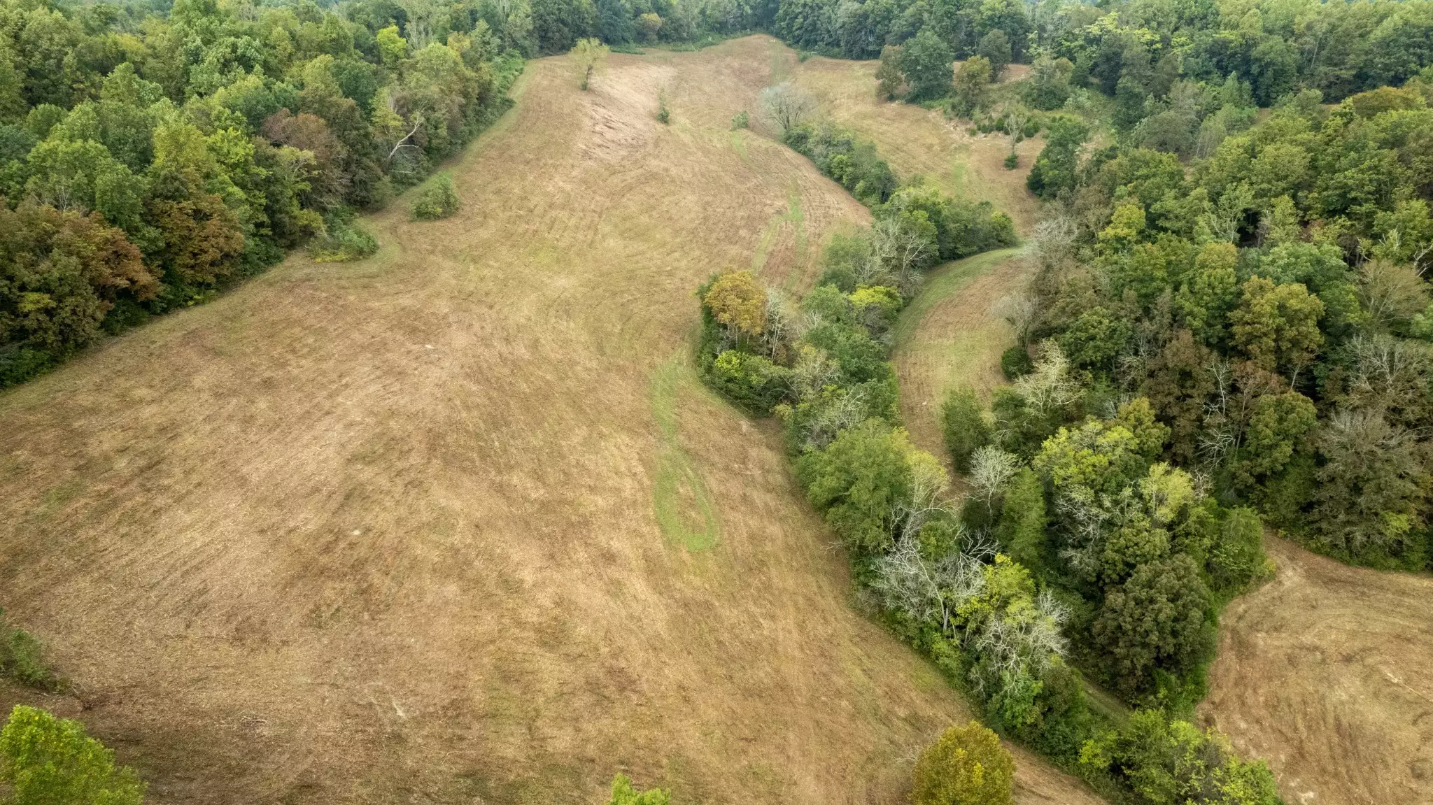 1 Noah Rd, Beechgrove, TN  37018