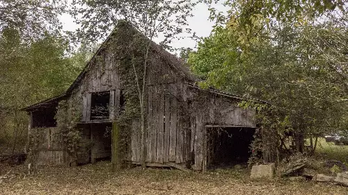 1 Noah Rd, Beechgrove, TN  37018