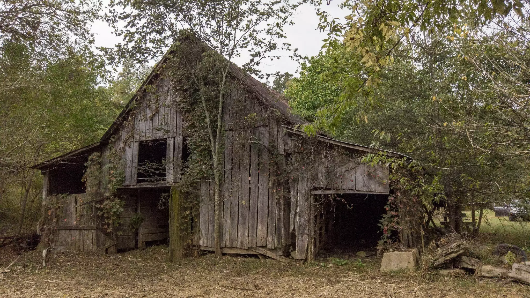 1 Noah Rd, Beechgrove, TN  37018