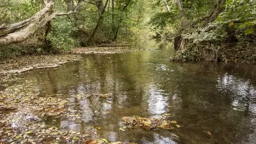 1 Noah Rd, Beechgrove, TN  37018