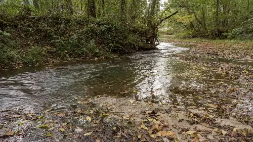 1 Noah Rd, Beechgrove, TN  37018