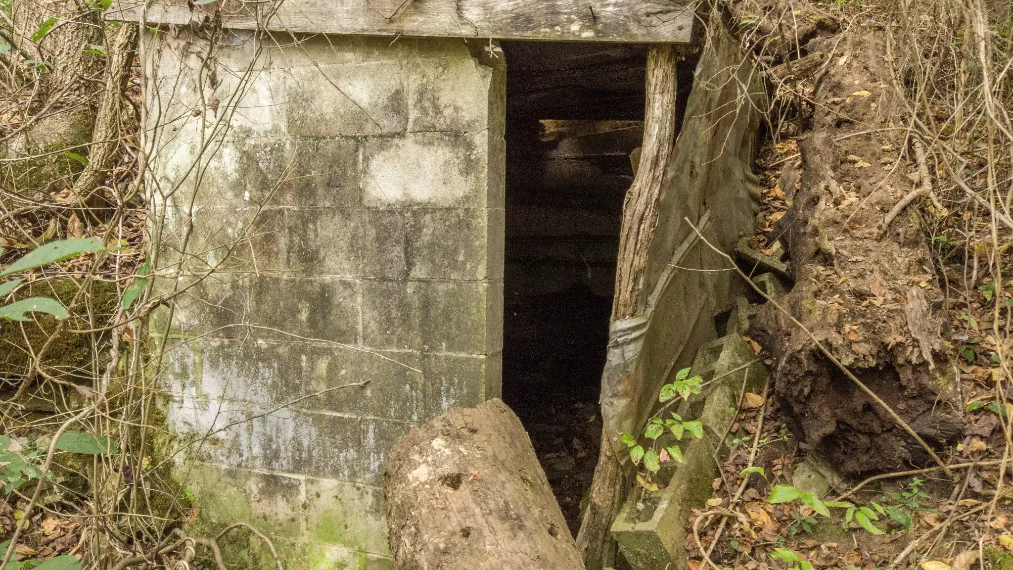 1 Noah Rd, Beechgrove, TN  37018