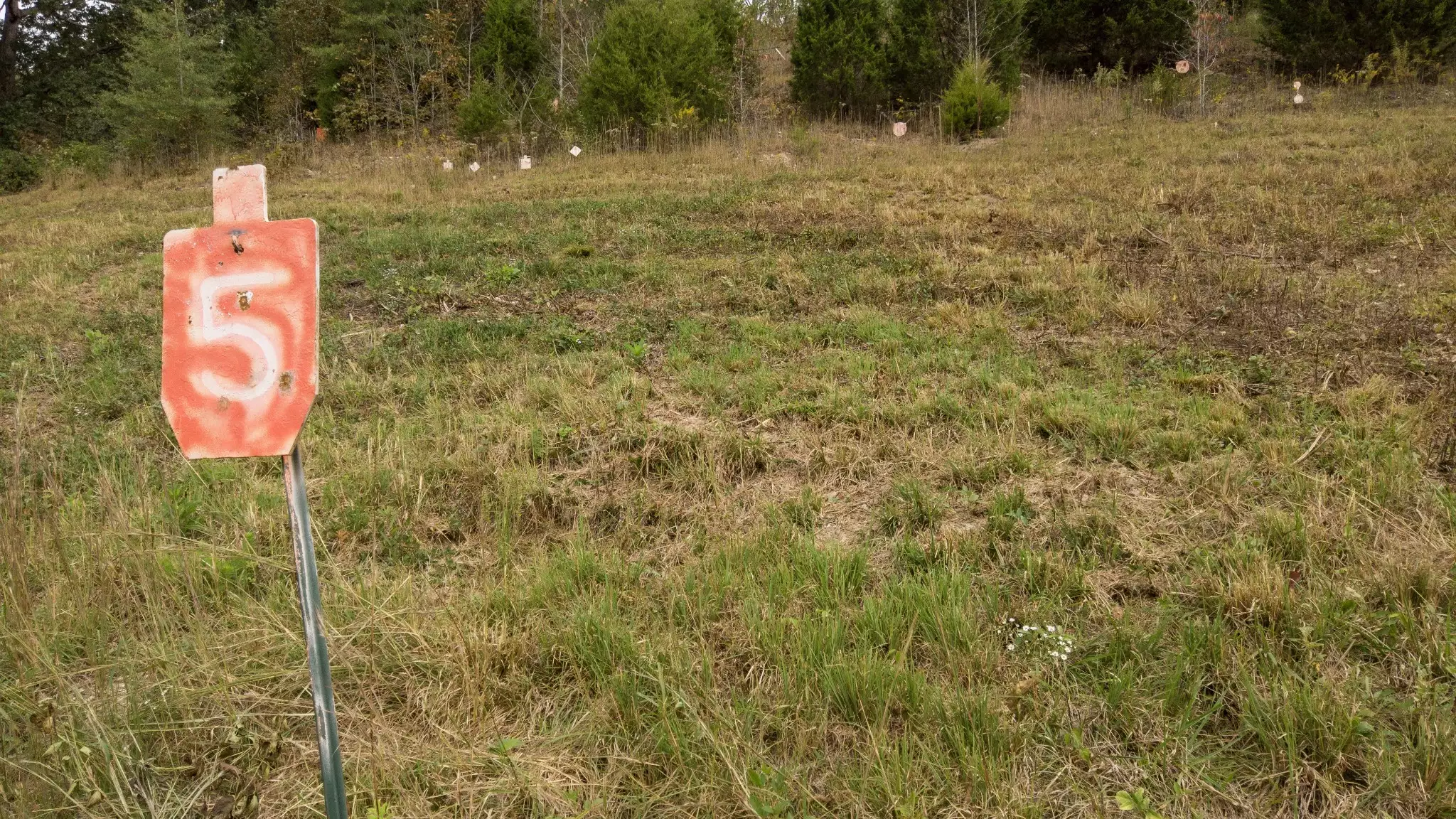 1 Noah Rd, Beechgrove, TN  37018