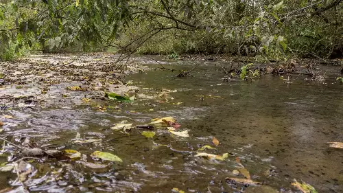 1 Noah Rd, Beechgrove, TN  37018