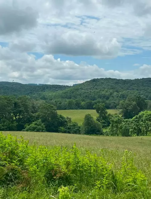 Hollis Stockton Ln, Livingston, TN  38570