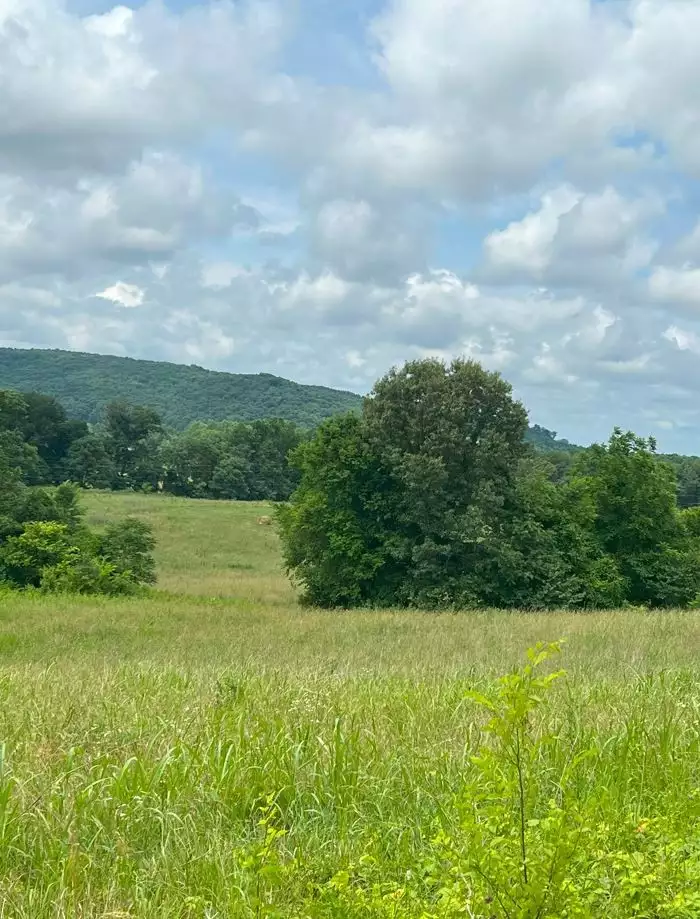 Hollis Stockton Ln, Livingston, TN  38570