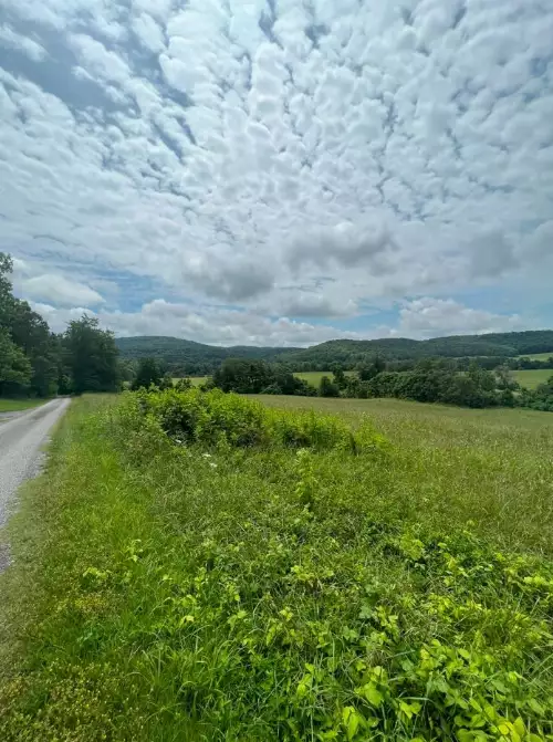 Hollis Stockton Ln, Livingston, TN  38570