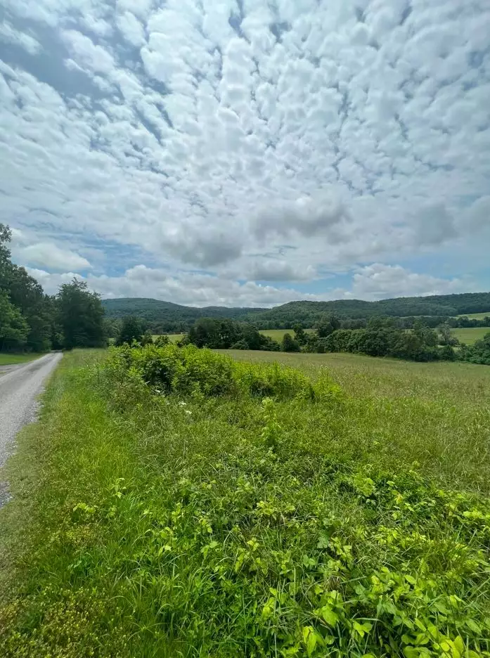 Hollis Stockton Ln, Livingston, TN  38570